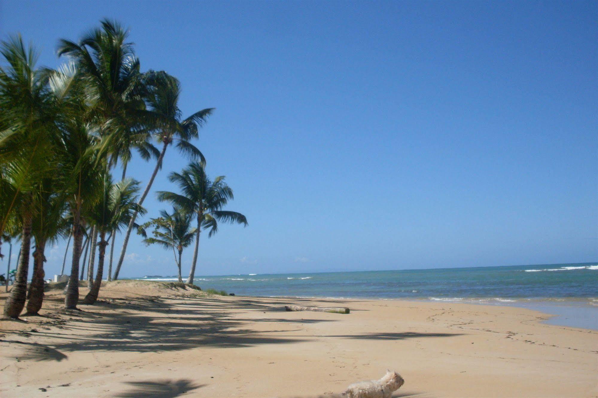 Hotel La Tortuga Las Terrenas Exterior photo